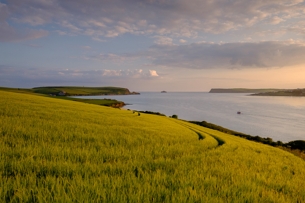 Camel Estuary, Padstow, Cornwall at dawn