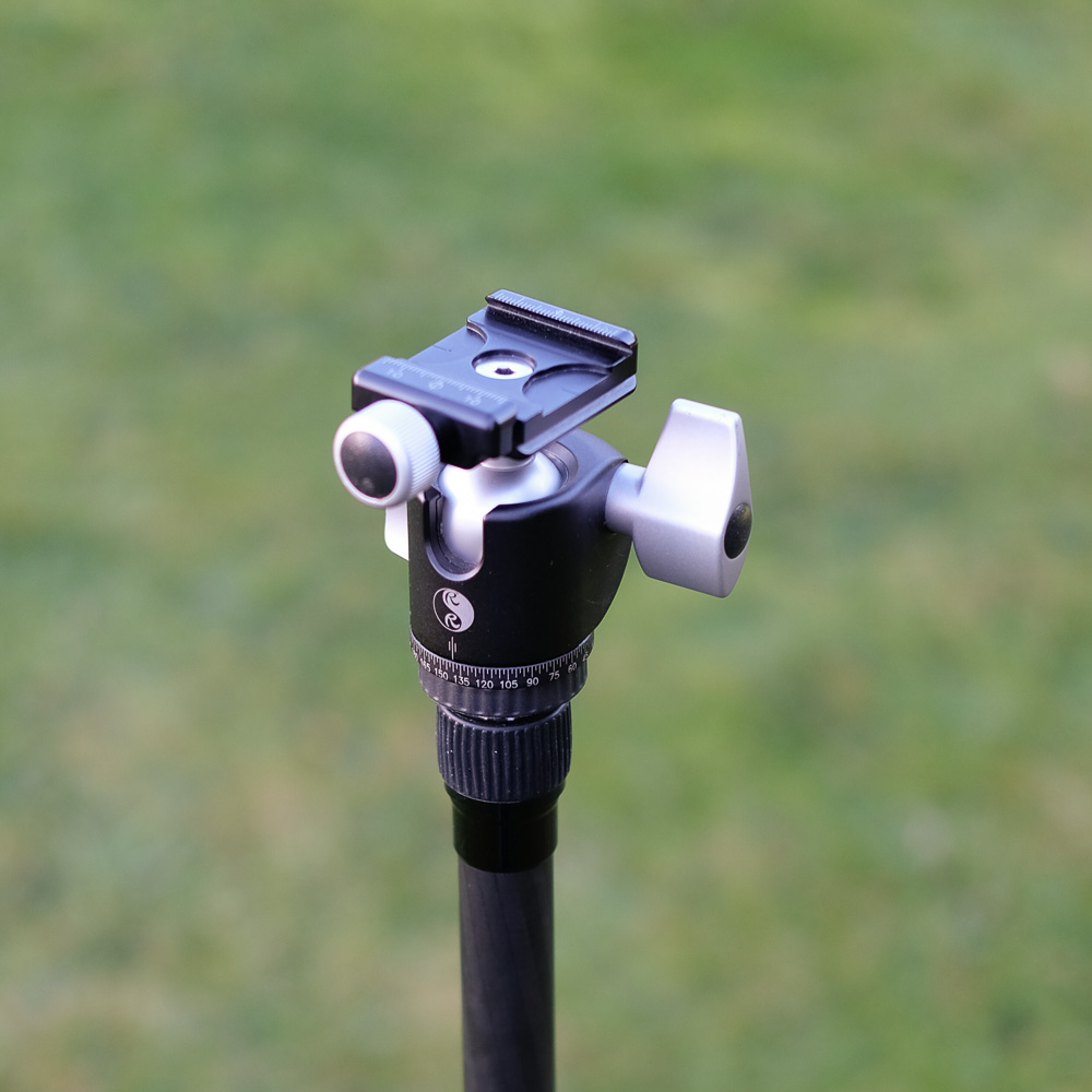 I used a Really Right Stuff RRS BH-30 Ballhead on the SIRUI which is a good fit and weight balance. Not that there is a lot wrong with the SIRUI Ballheads
