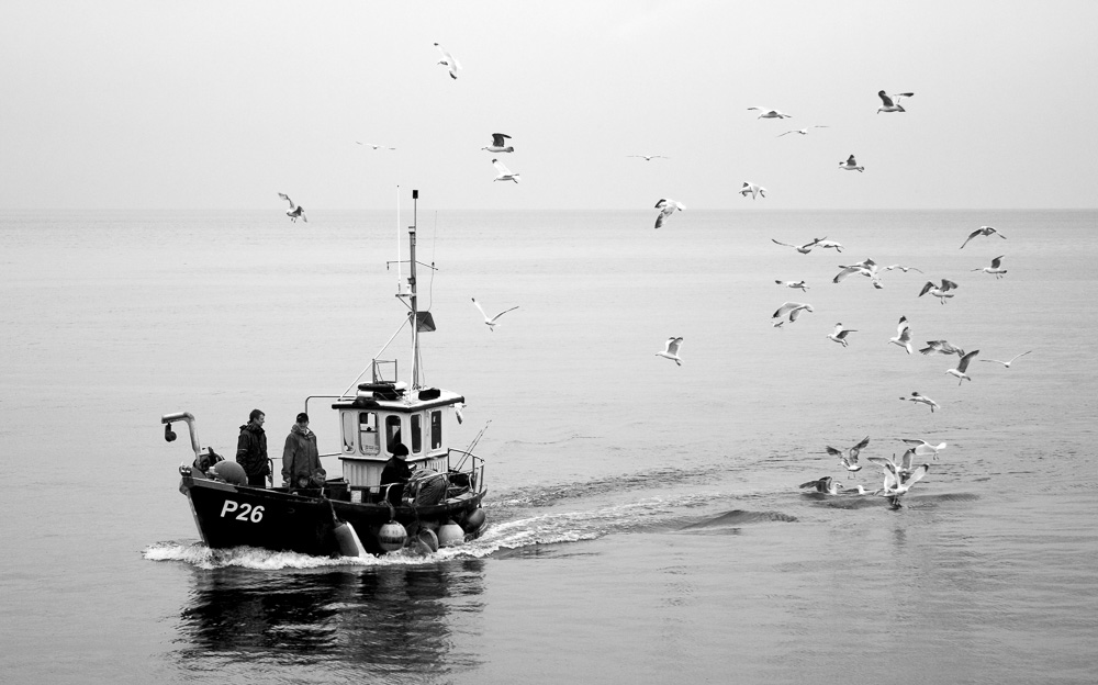 17-05-2008_Dorset_003.jpg