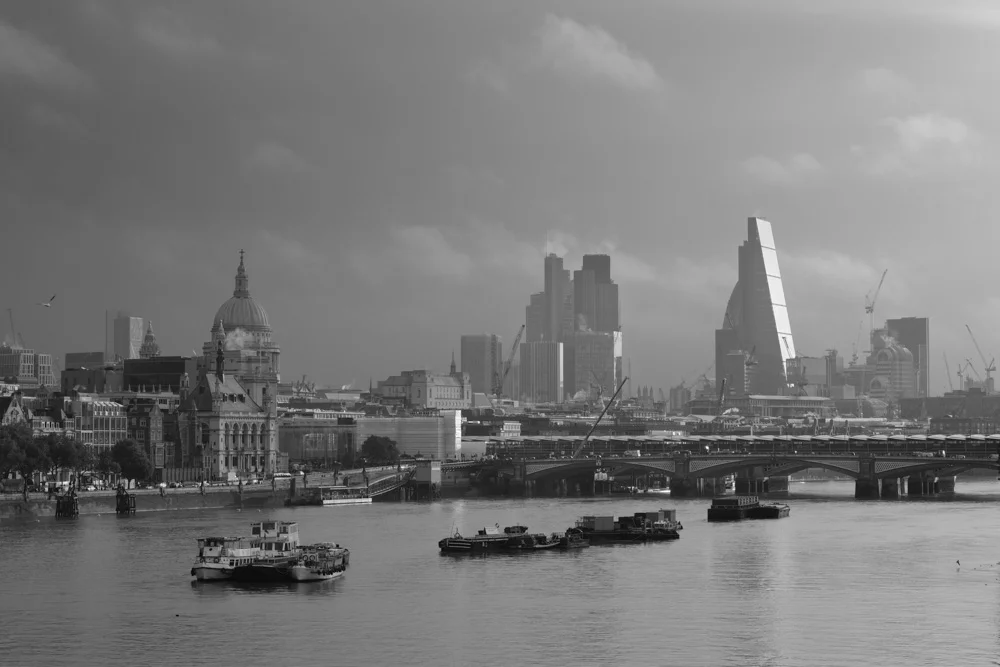 The City