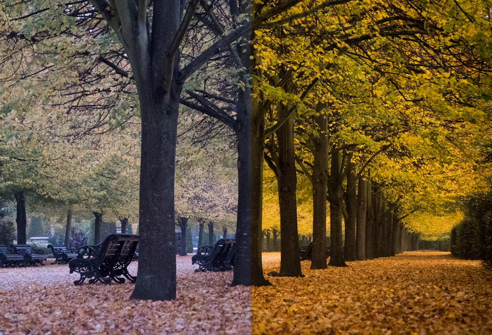 Fuji X-T2 RAW file pre and post editing comparison
