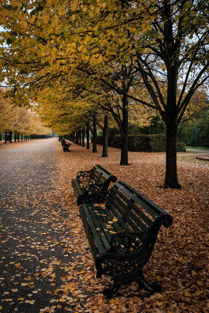 Benches
