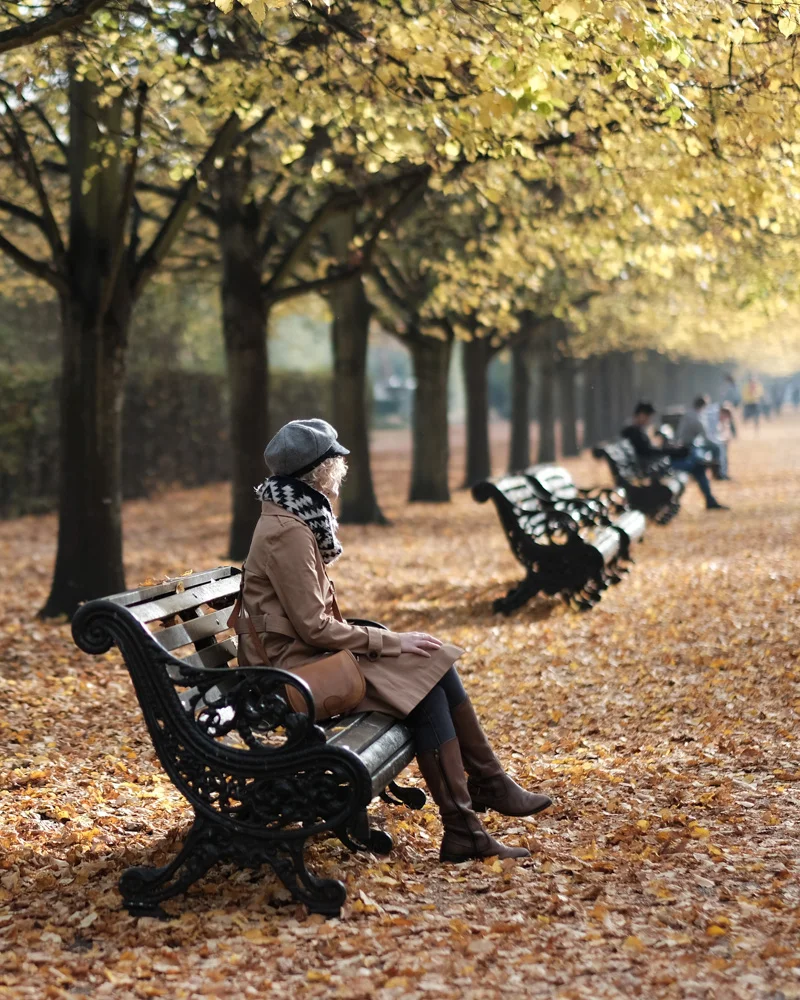 Autumnal - Fuji X-T2 Fuji Classic Chrome Film Simulation