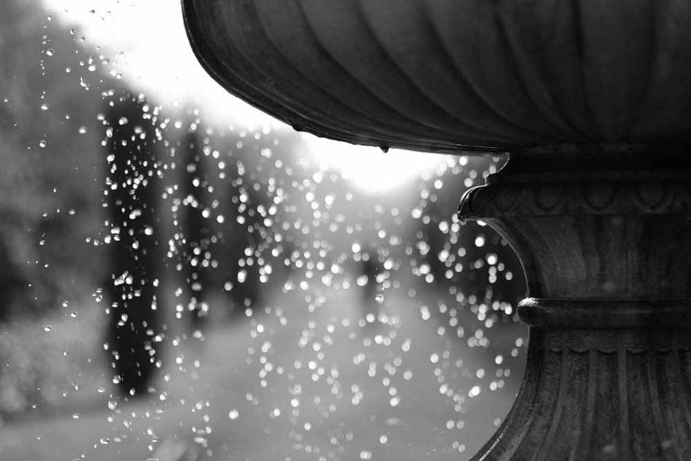 Fountain - Fuji X-T2 Fuji ACROS (Green Filter) Film Simulation