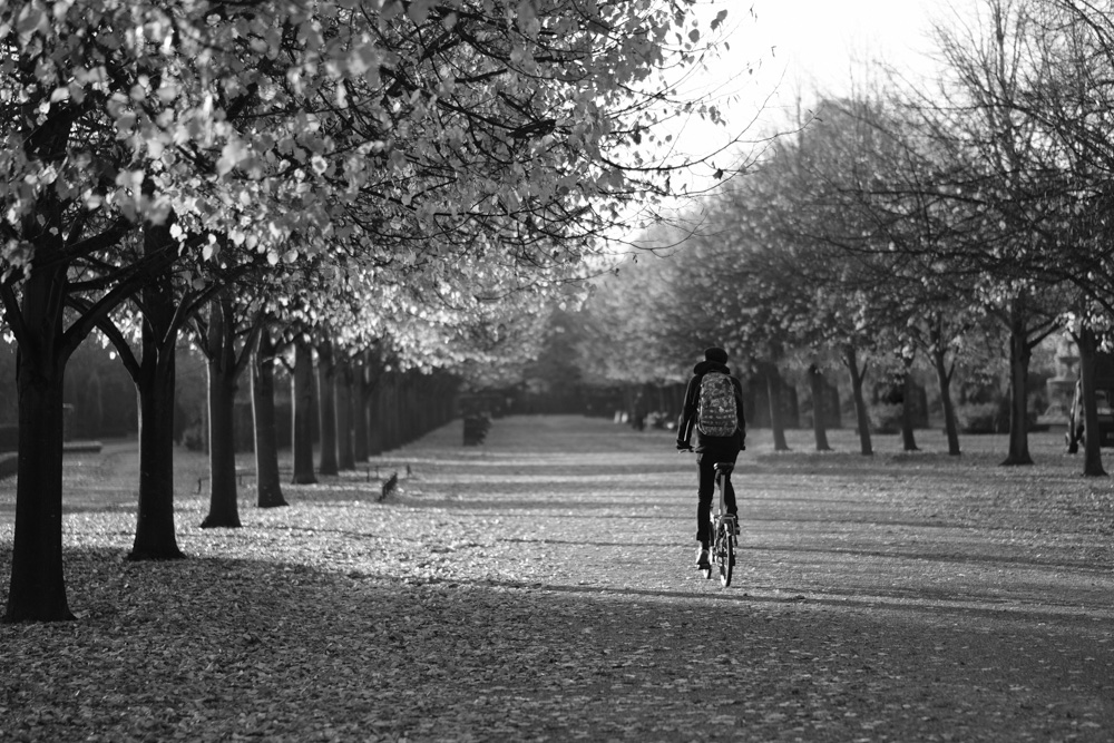 Regents Park Cyclist - Fuji X-T2 56mm @ f1.2