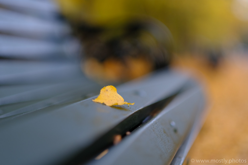 Park Bench - JPG - Fuji X-T2 56mm f1.2 at f1.2