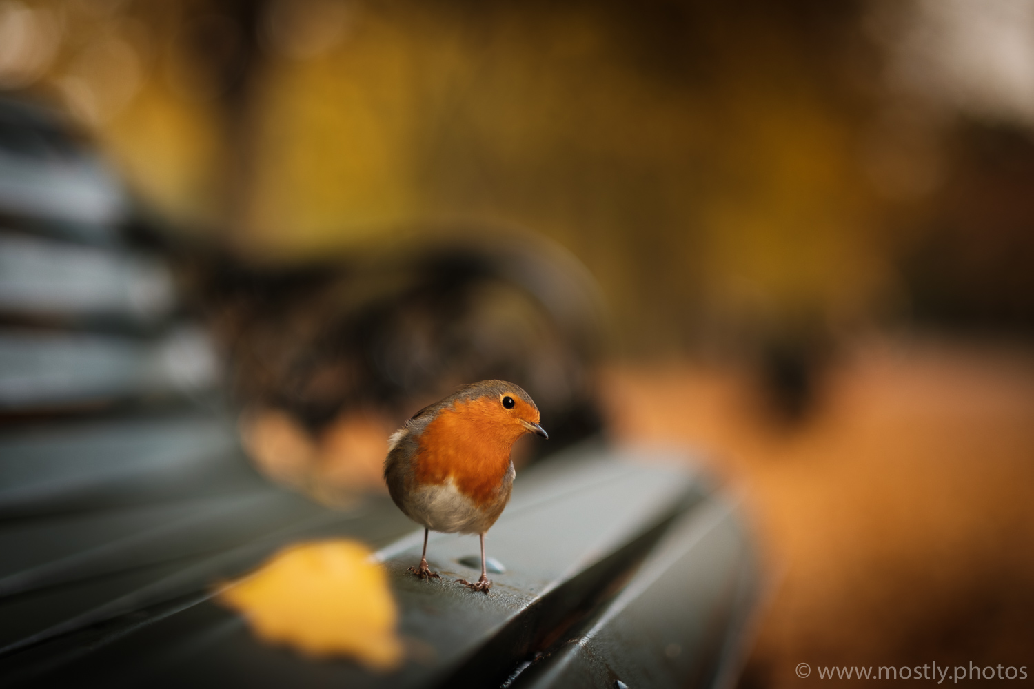 Bracketed RAW files merged in Adobe Lightroom