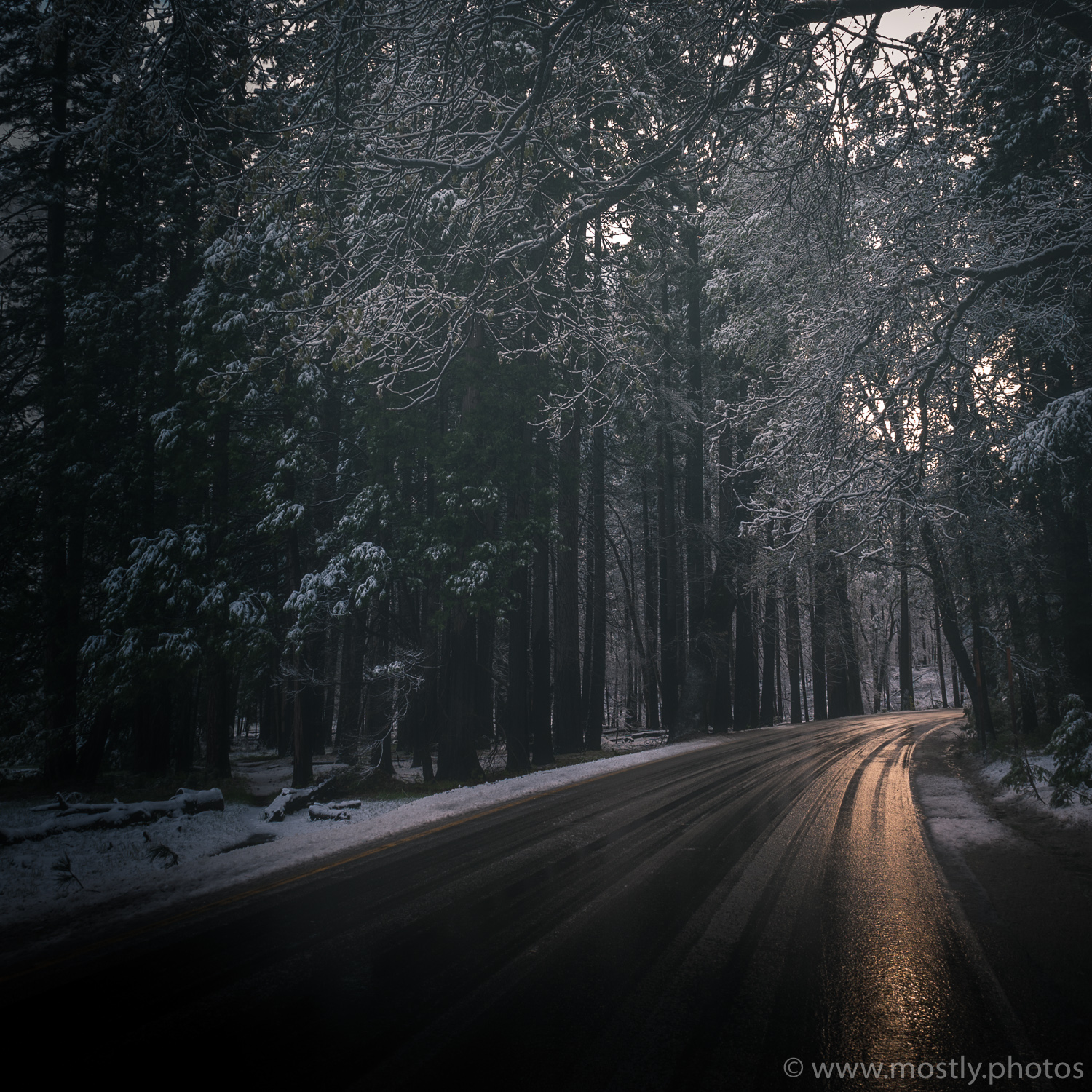 Yosemite National Park, California