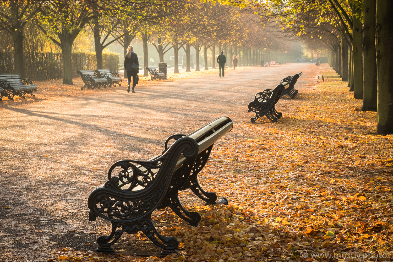 Fuji X-T2 and Fujinon 56mm f1.2 - RAW file edited in Adobe Lightroom White Balance set to cloudy, Vignette added, Subtle 'S' tone curve to increase contrast