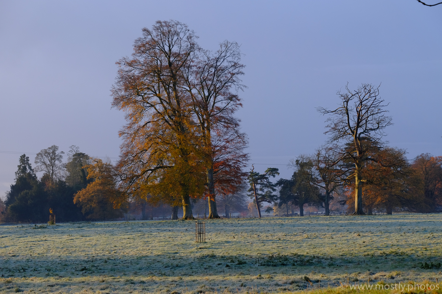 Fuji X-T2 Unedited JPG straight from camera. Fuji Velvia Film Simulation. Color balance is set to auto for this shot.