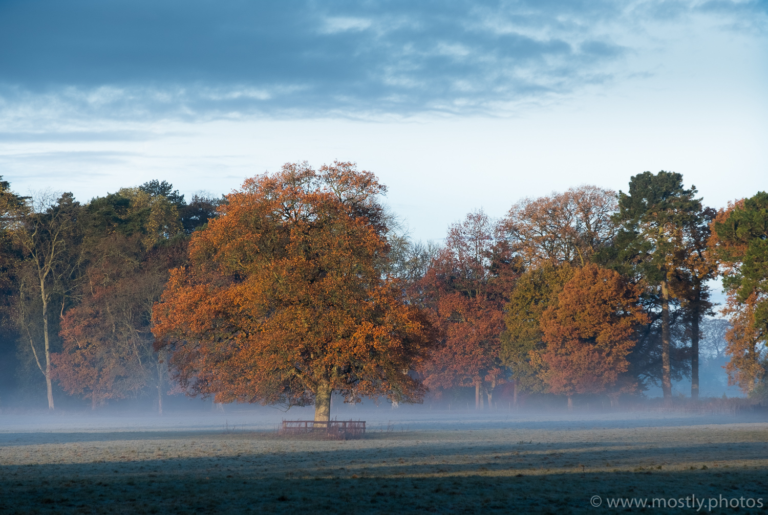 Fuji X-T2 and 18-135mm RAW conversion in Adobe Lightroom