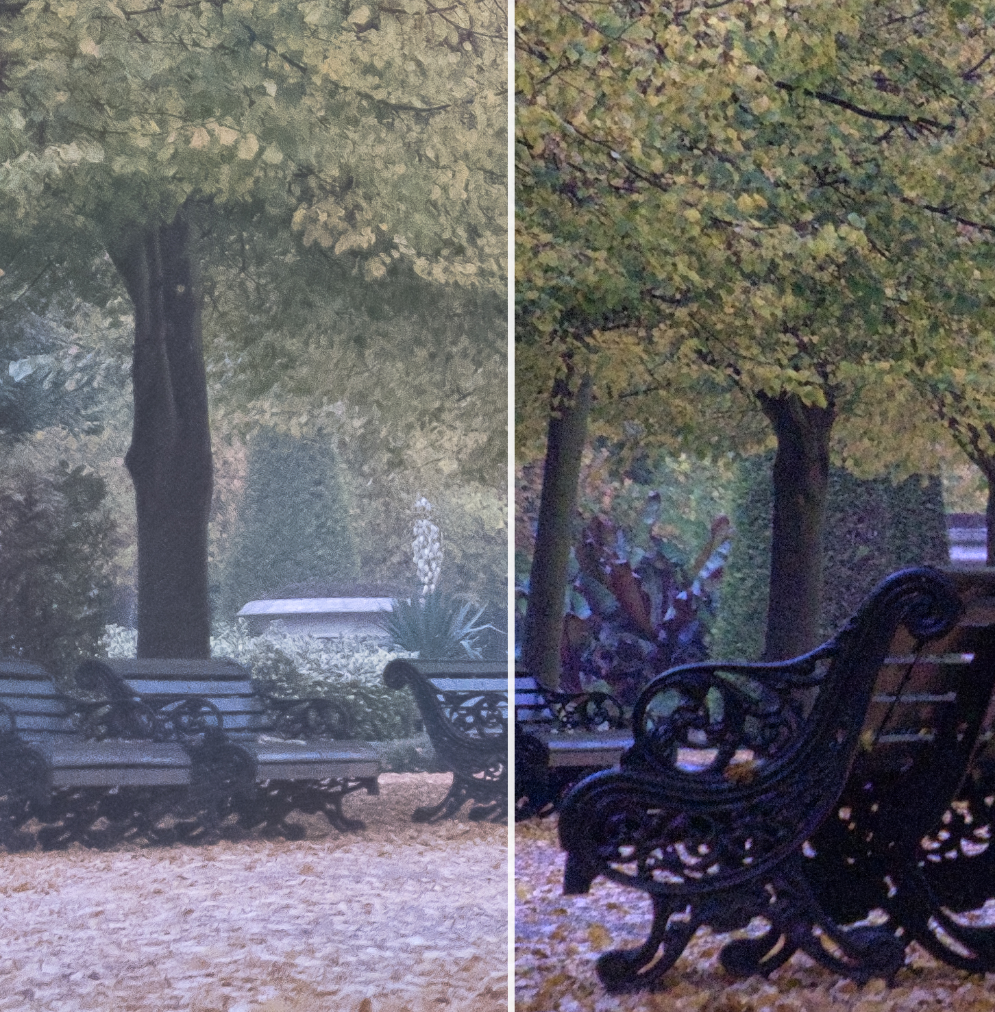 Fuji X-T2 RAW Processed with Adobe Lightroom CC on the left and MacPhun Luminar on the right.