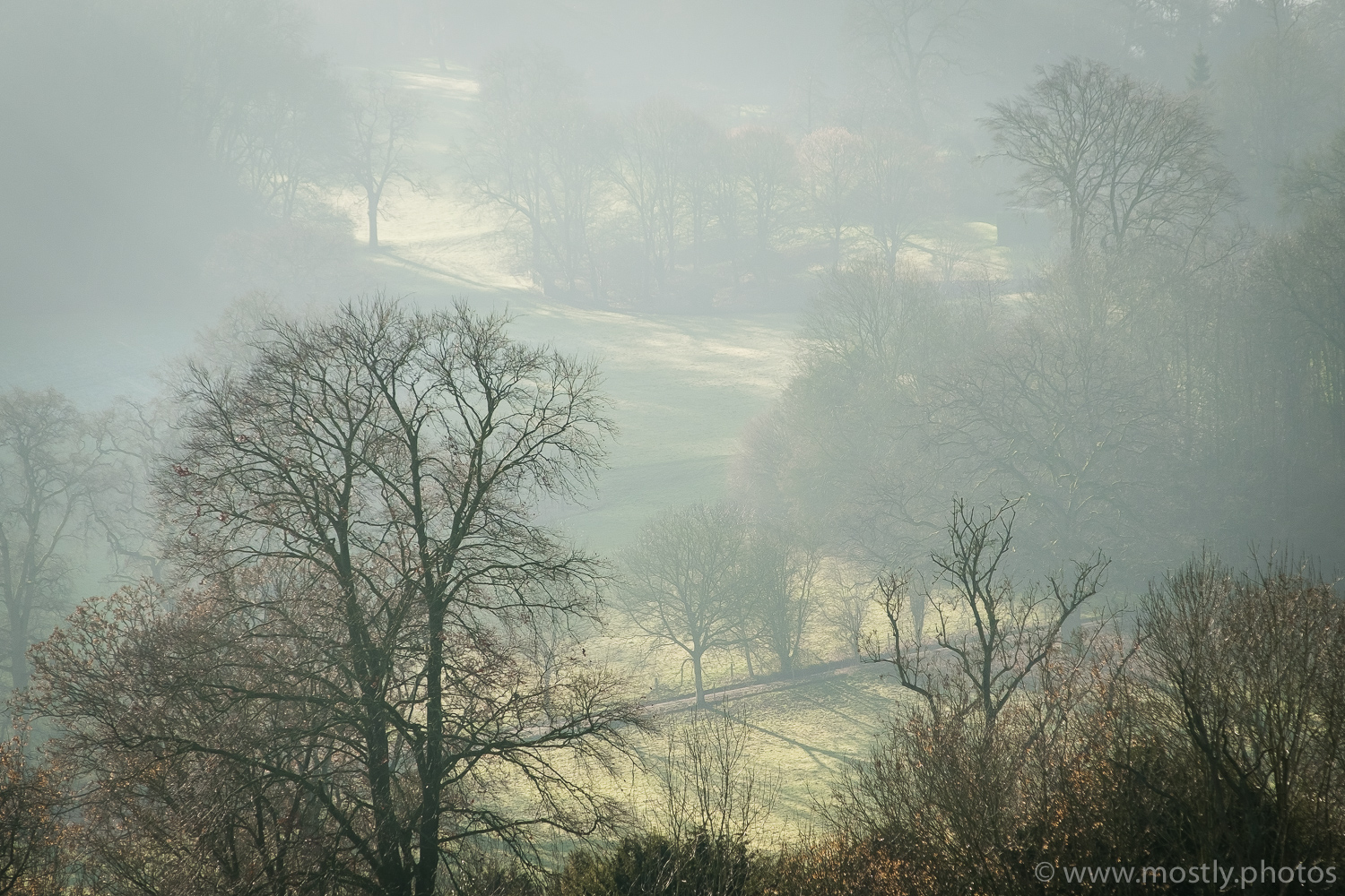 Fuji X-T2 and Fuji 18-135mm - RAW file processed in Adobe Lightroom. I used the 'Dehaze' option under the Effects Panel to bring some contrast back into the misty view.