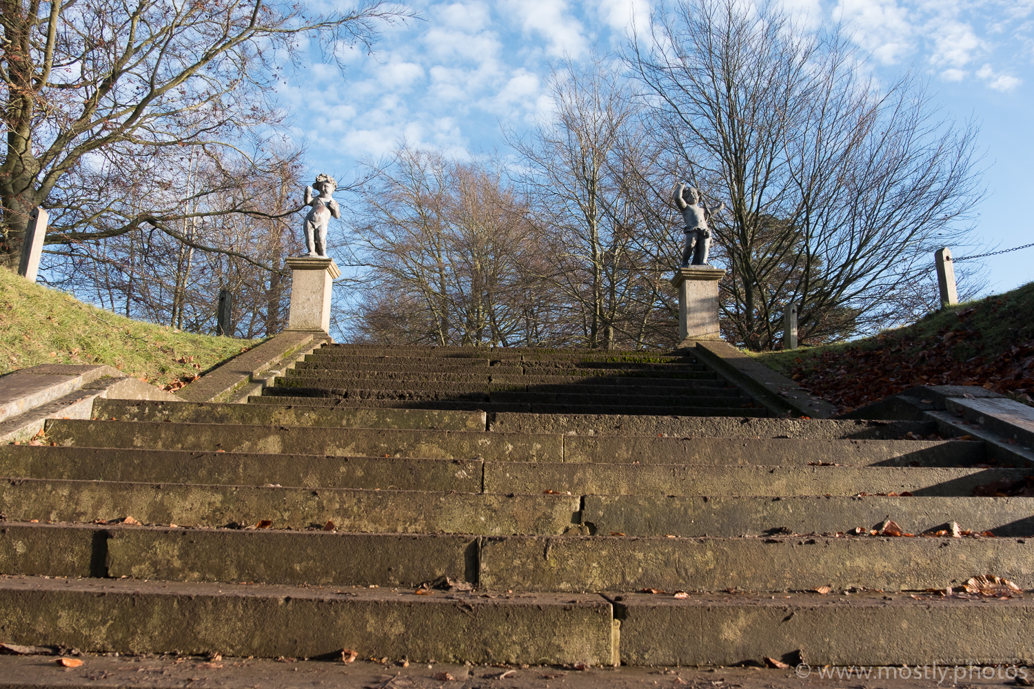Fuji X-T2 and 18-135mm Lens. Un-Edited RAW file showing distortion introduced.