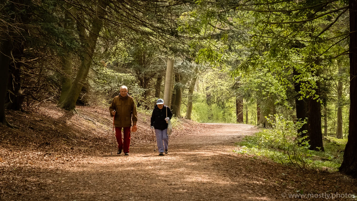 Fuji X-T2 Bluebell Woods - Polesden Lacey