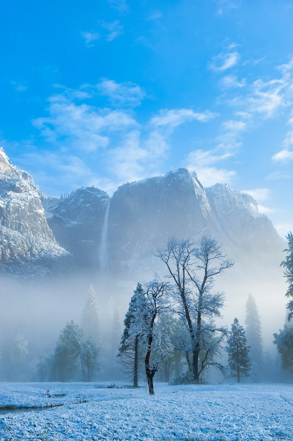 Nikon D3 - Yosemite Landscape - Edited in Photolemur 3
