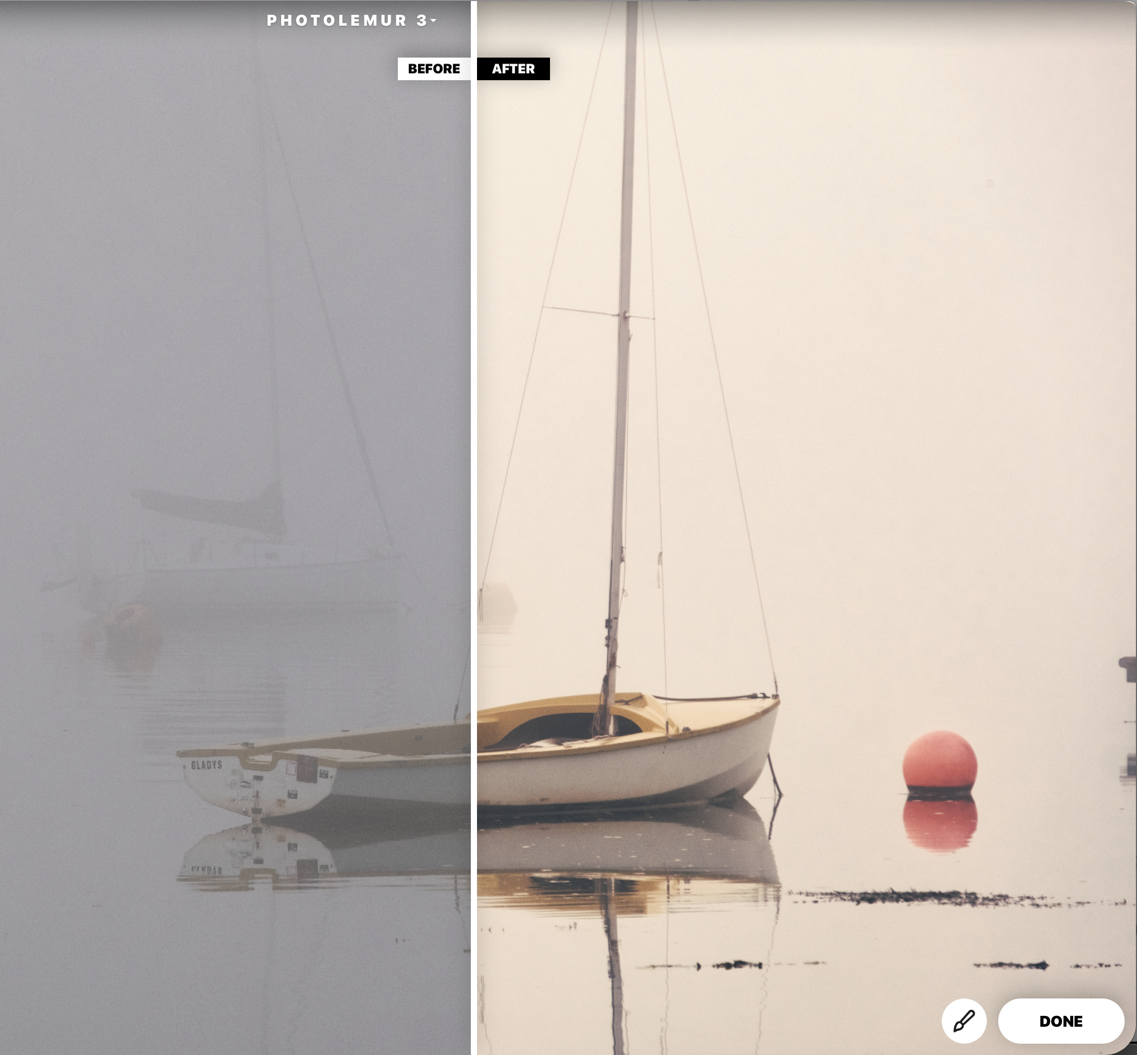 Photolemur 3