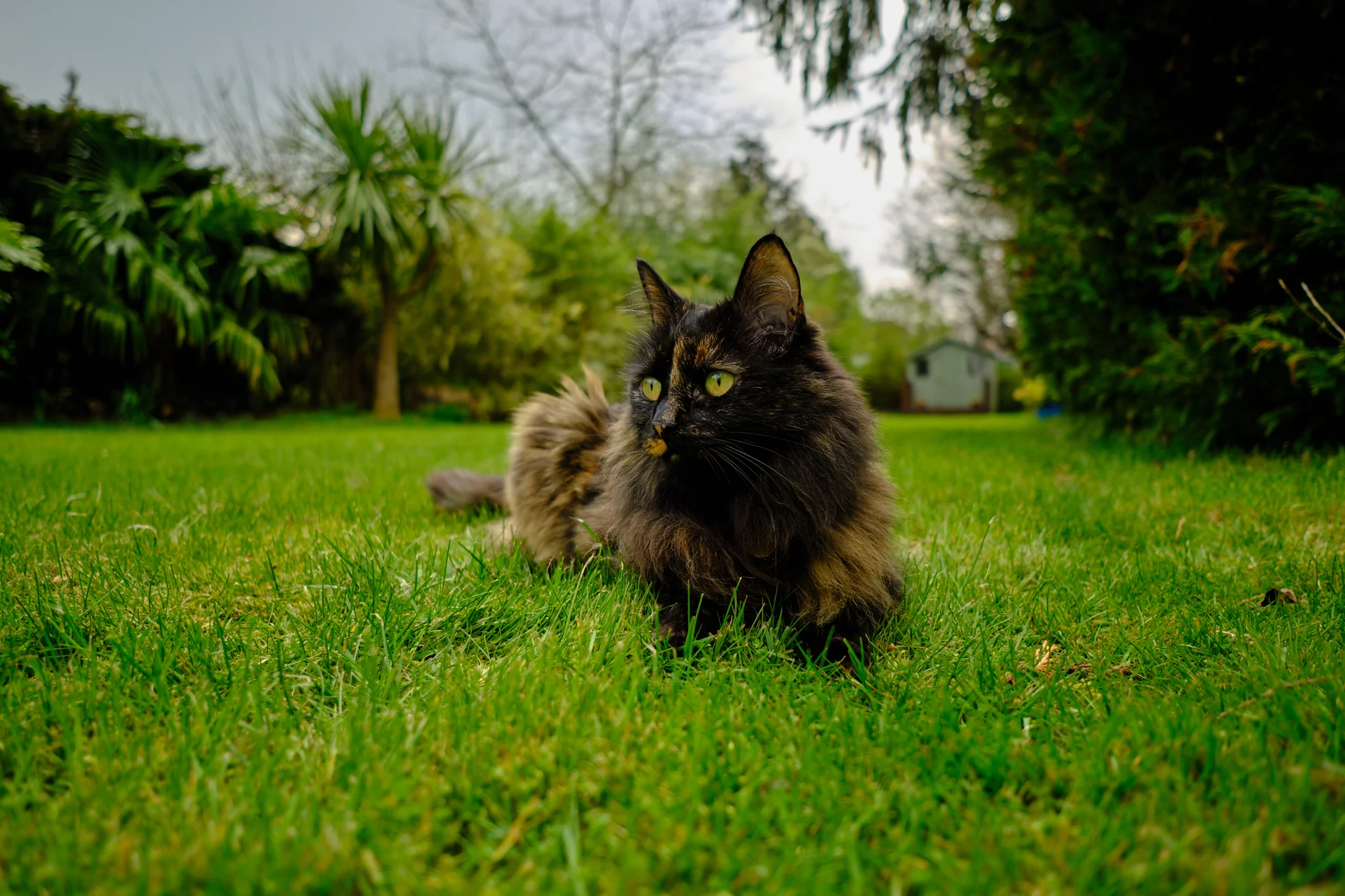 Fuji X-T3 and 16mm f2.8 @ f2.8