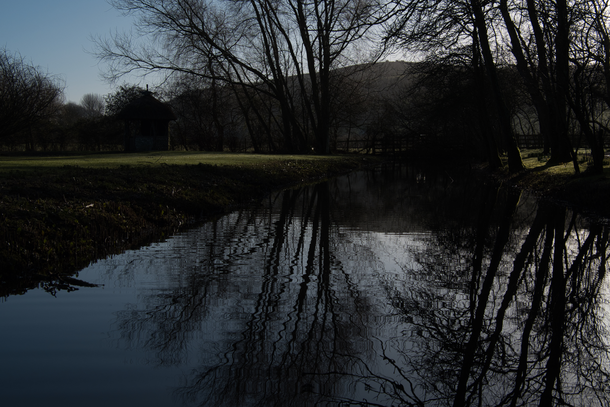 Un-Edited Fuji RAW File