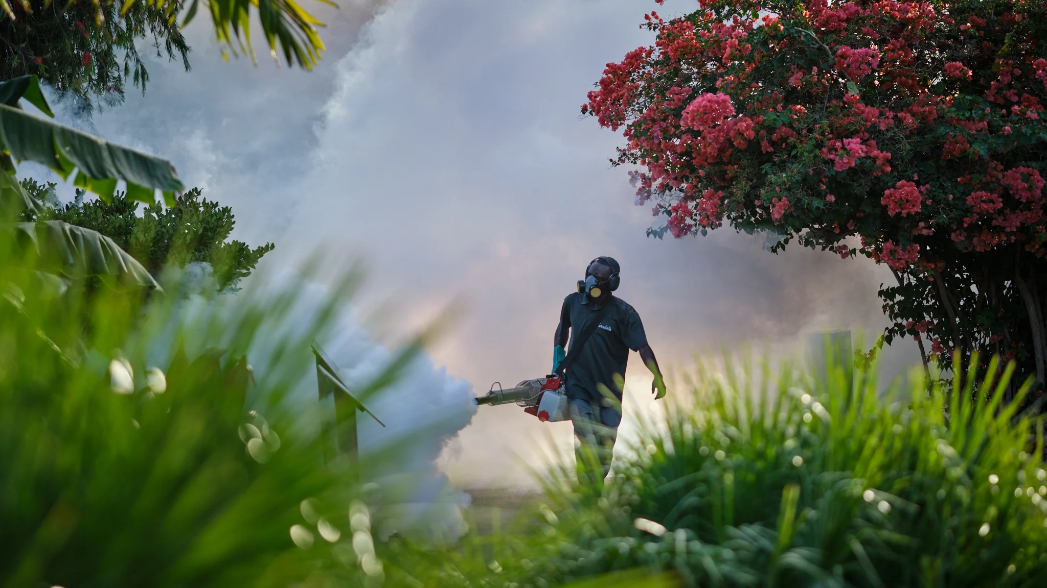 Grenada_XT3-14-05-19-1649-56.jpg