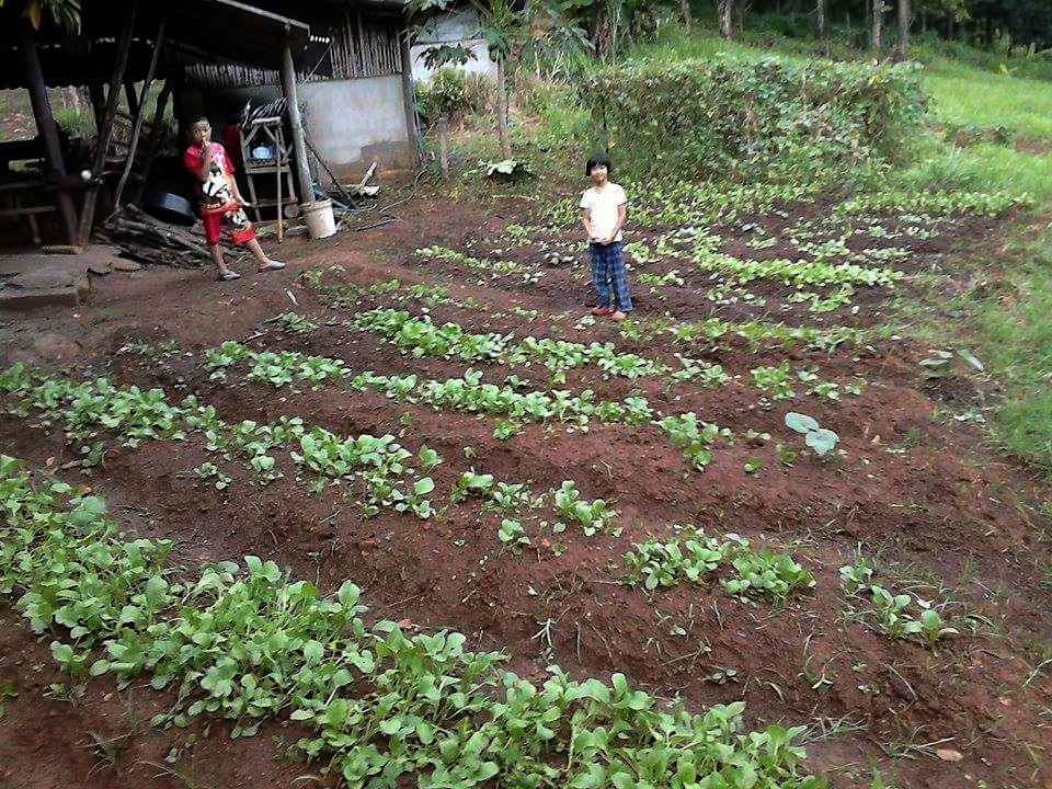 received_809426182503680.jpeg
