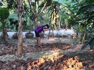  These gardens at our homes in Cambodia will help ensure a steady supply of nutritious and delicious food, no matter how long the shutdown lasts! 