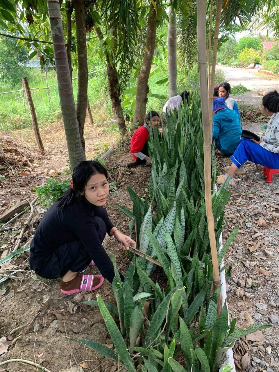 photo_2021-06-28 11.35.17.jpeg