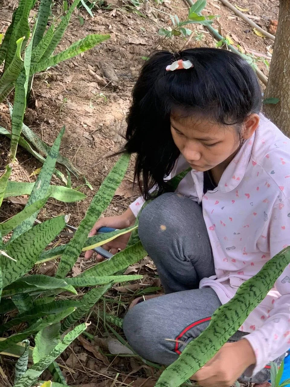 photo_2021-06-28 11.35.18.jpeg