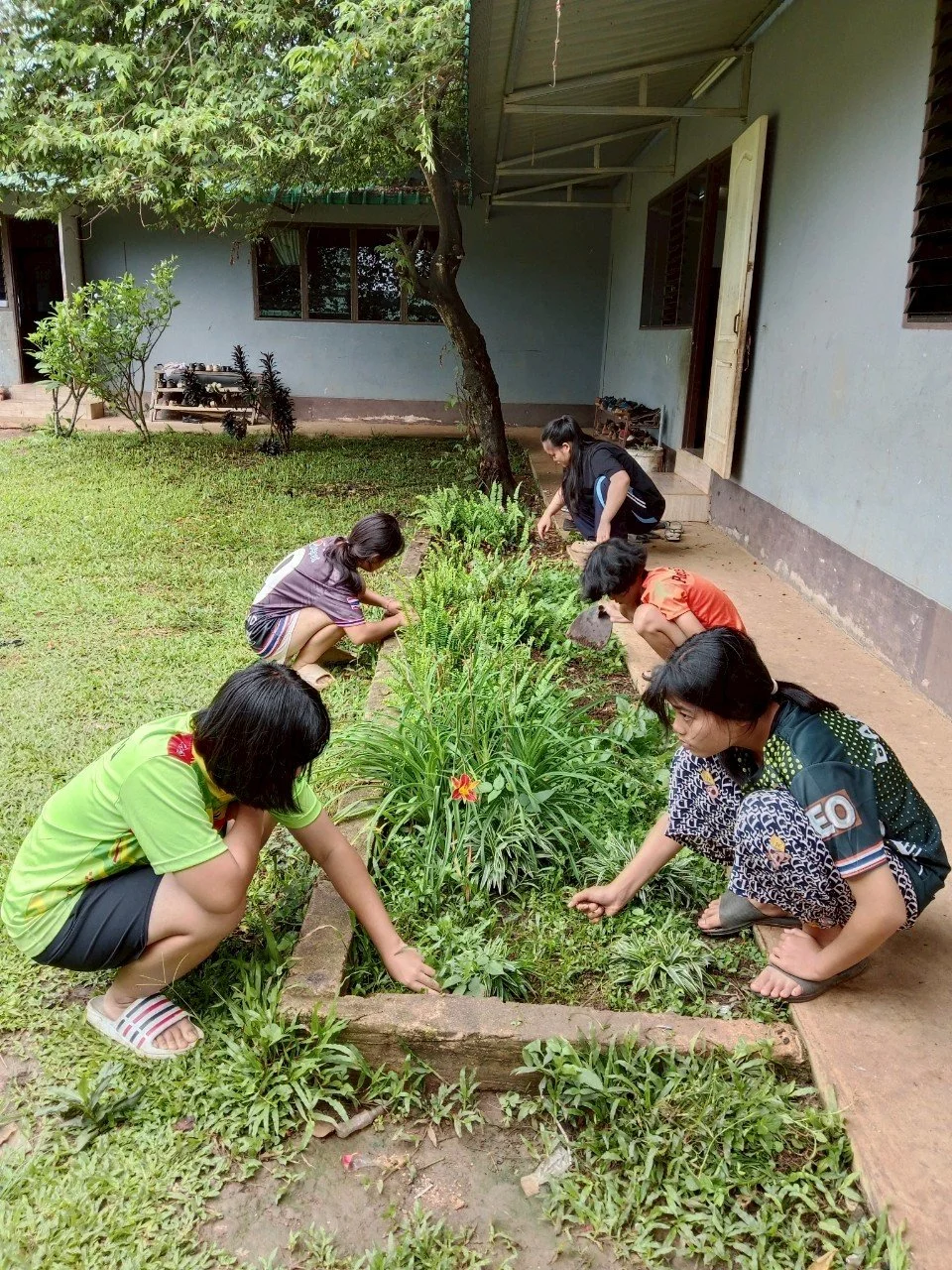 wpp3062025 (13).jpg