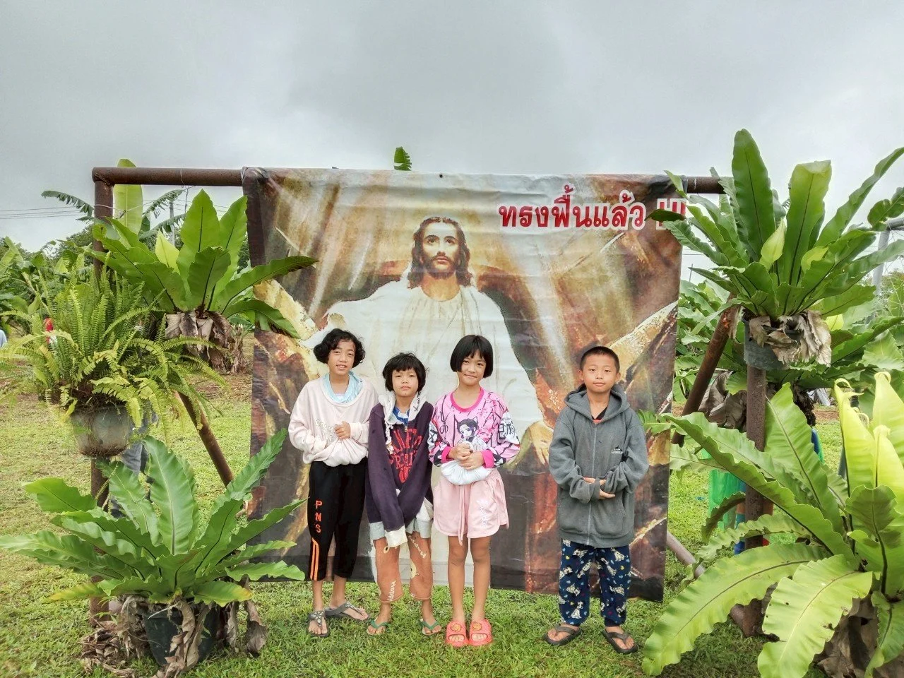 wpp3062025 (21).jpg