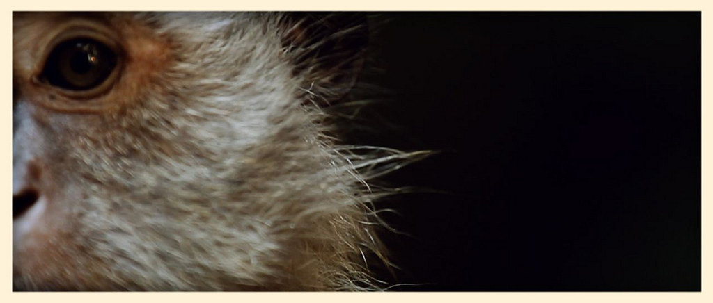 5 things I learned Jan 2, 2012
