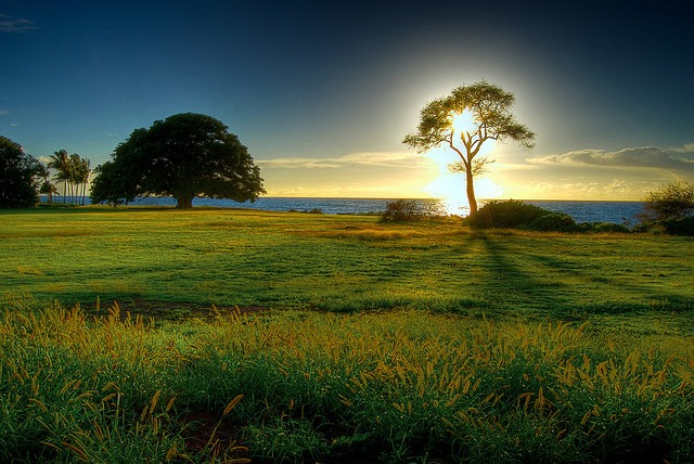 1. Absolutely gorgeous photos with a summer feel http://bit.ly/klt5bA 2. Rainbow panoramic http://bit.ly/lwTetP 3. Star Wars + Muppets action figures http://bit.ly/l5uSfw 4. Rare 1965 documentary of Frank Sinatra http://bit.ly/lRPsmP 5. 100 years of great design books http://bit.ly/jXApy3