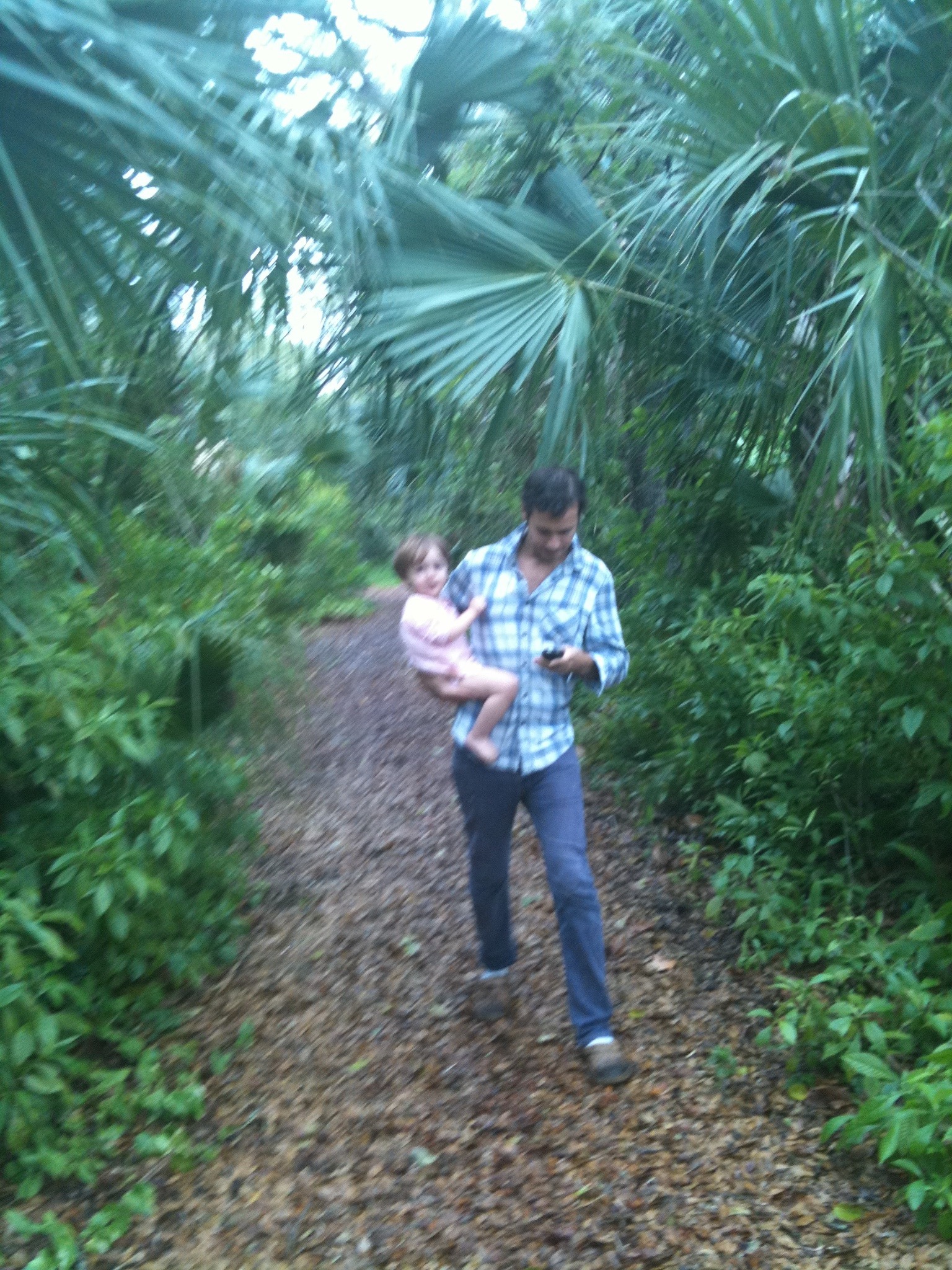 Jungle
