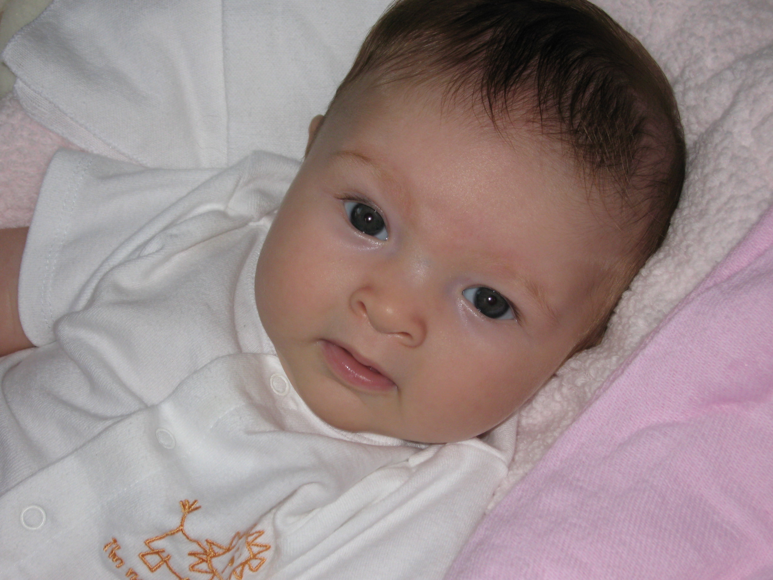 willa