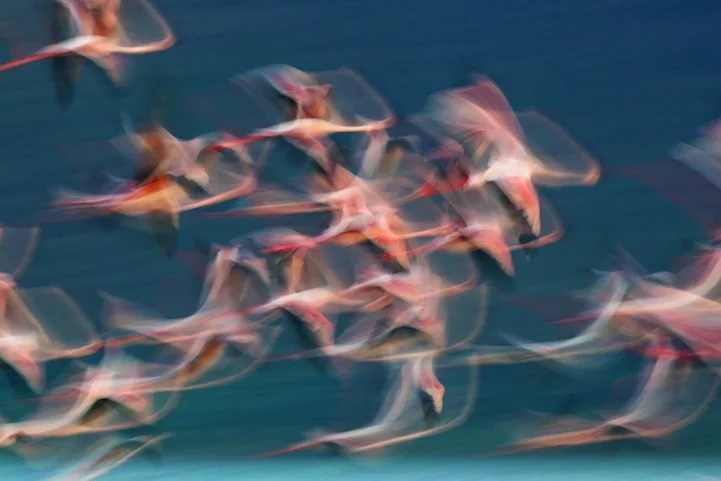 Transient
