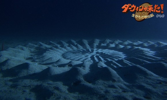 underwater-mystery-circle-11-580x348.jpeg