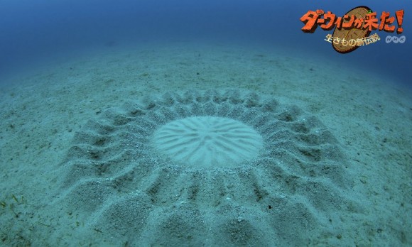 underwater-mystery-circle-10-580x348.jpeg