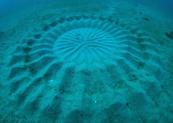 underwater-mystery-circle-2-580x414.jpeg