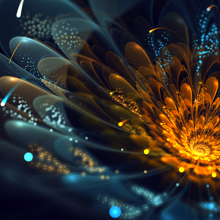 fractalflowers06.png