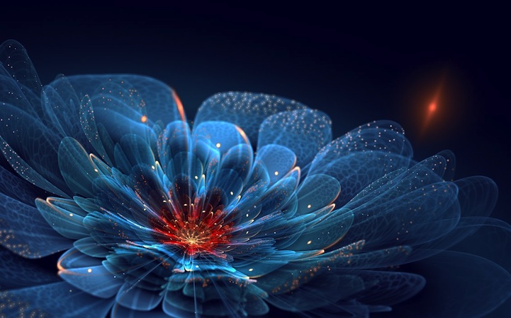 fractalflowers062.jpg