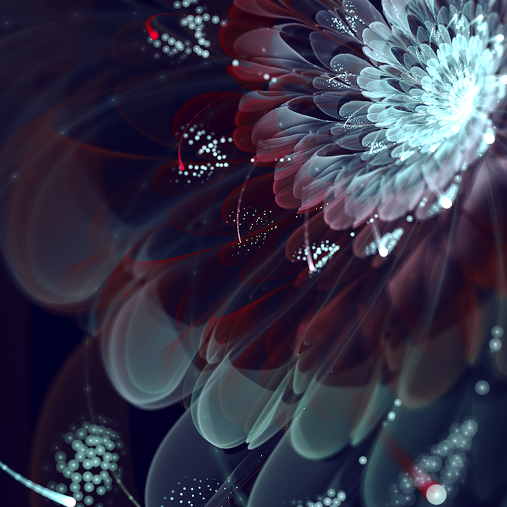 fractalflowers02.png