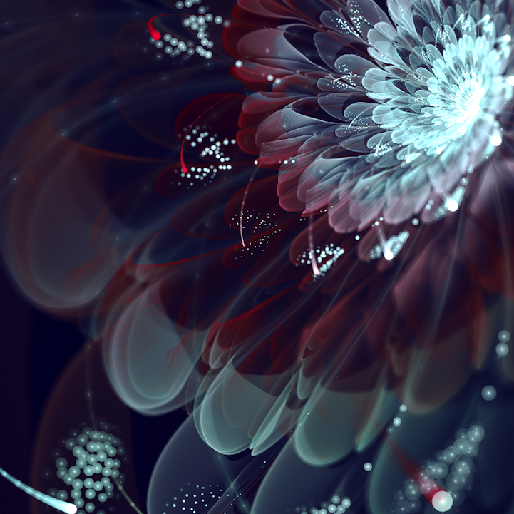 3 - Gorgeous Fractal-made Flowers — 5 things I learned today