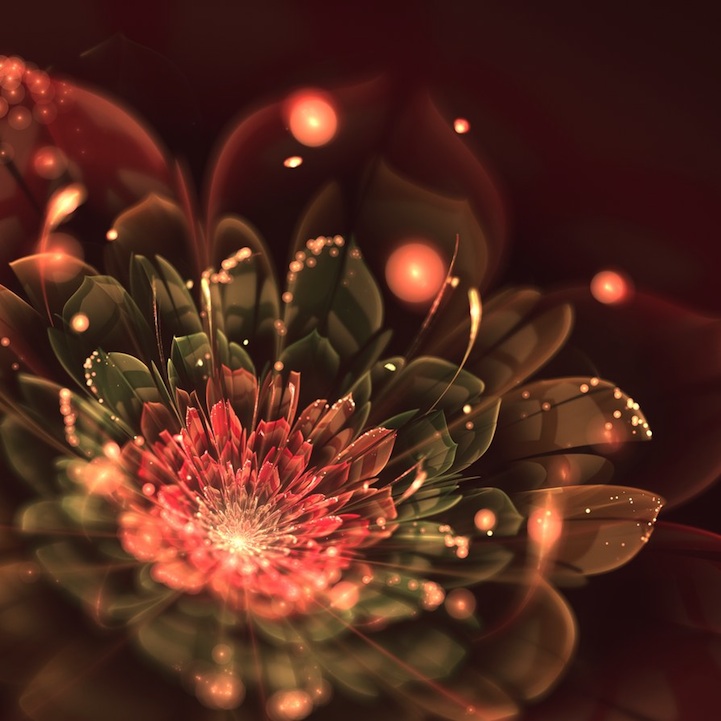 fractalflowers04.jpg