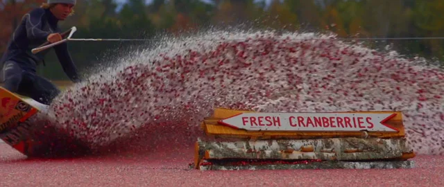 cranberry-5.jpg