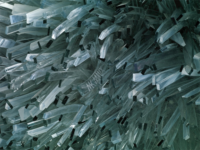 Shattered-Glass-Animals6.jpg