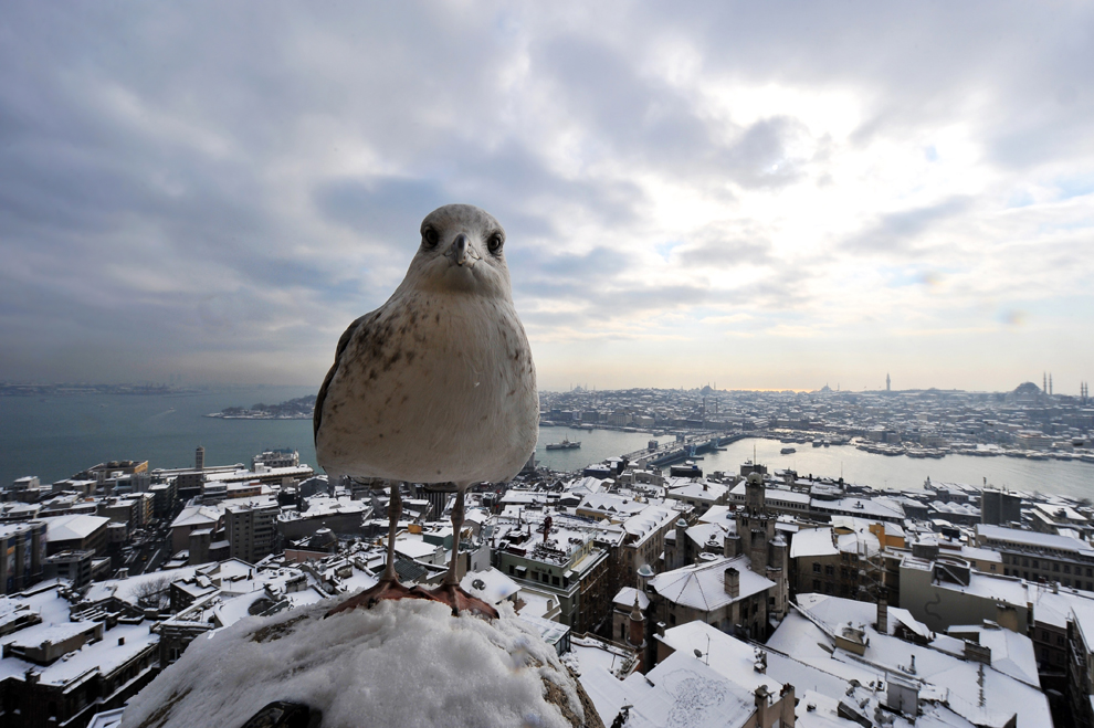 Instanbul, Turkey Jan 9