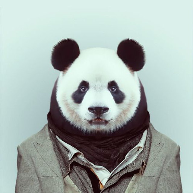 Fashion-Zoo-Animals10.jpg