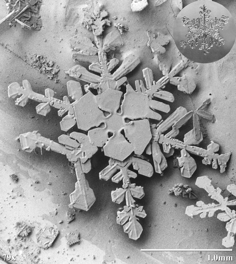 comparative-images-of-snow-crystals-3.jpg