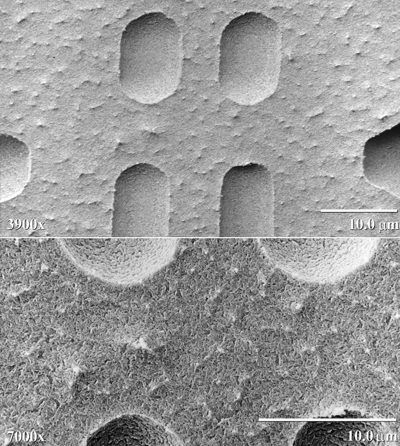 lt-sem-magnification-capability-3 (1).jpg