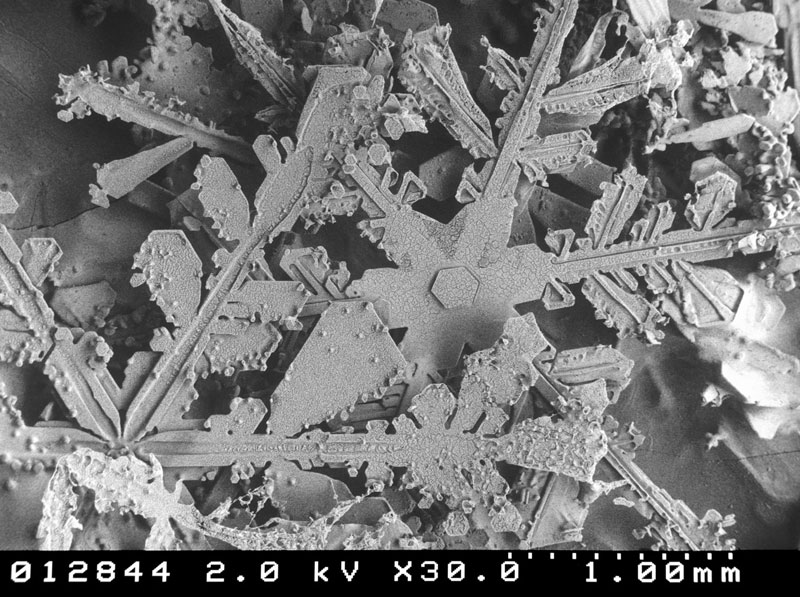 microscopic-snow-crystals-3.jpg